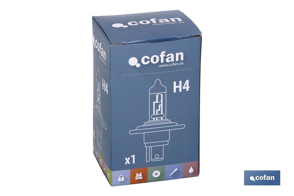 https://www.cofan.es/images/content/1024x682/web1_03501204_02.jpg