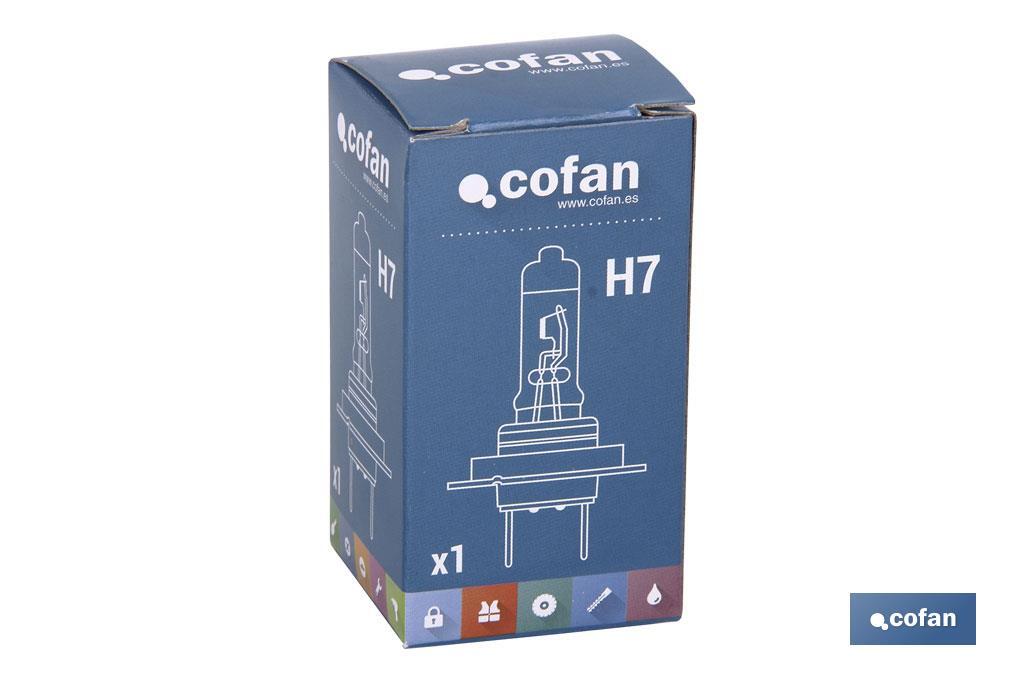 https://www.cofan.es/images/content/1024x682/web1_03501207_02.jpg