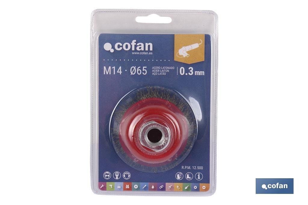 https://www.cofan.es/images/content/1024x682/web1_10250051_02.jpg