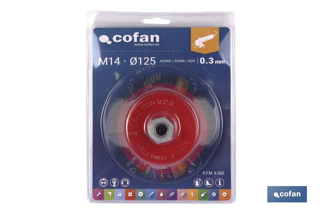 https://www.cofan.es/images/content/1024x682/web1_10250061_02.jpg