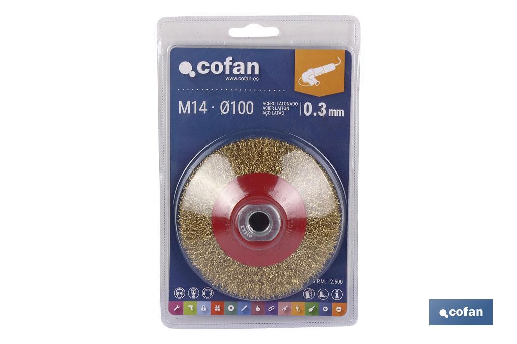 https://www.cofan.es/images/content/1024x682/web1_10250081_03.jpg