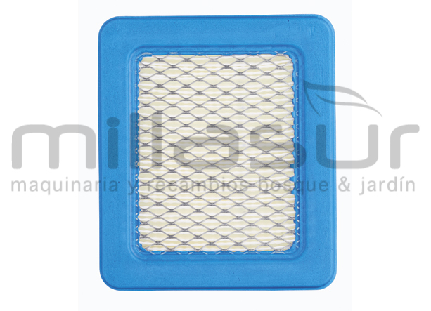 FILTRO AIRE BRIGGS &amp; STRATTON 491588S