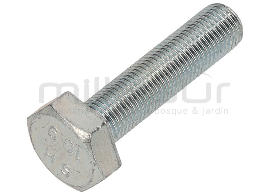 TORNILLO CUCHILLA CORTACESPED ANOVA CC251T - CC256TV