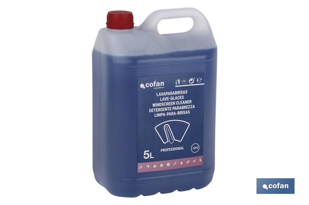 LAVAPARABRISAS ANTICONGELANTE -10º 5L