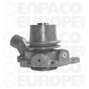 BOMBA AGUA CON POLEA David Brown REF. 101140001