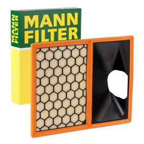 FILTRO AIRE MANN C 40 001
