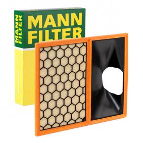 FILTRO AIRE MANN C 40 002