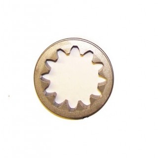 PIÑON BCS 52420973