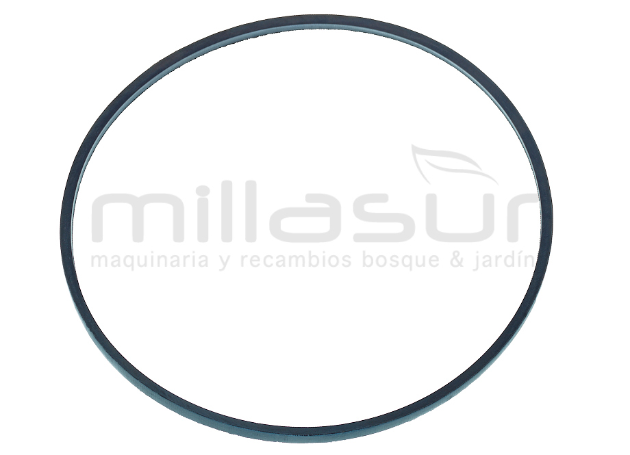 CORREA CC251T (10) - CC251TA (27) Z813Li - 813mm