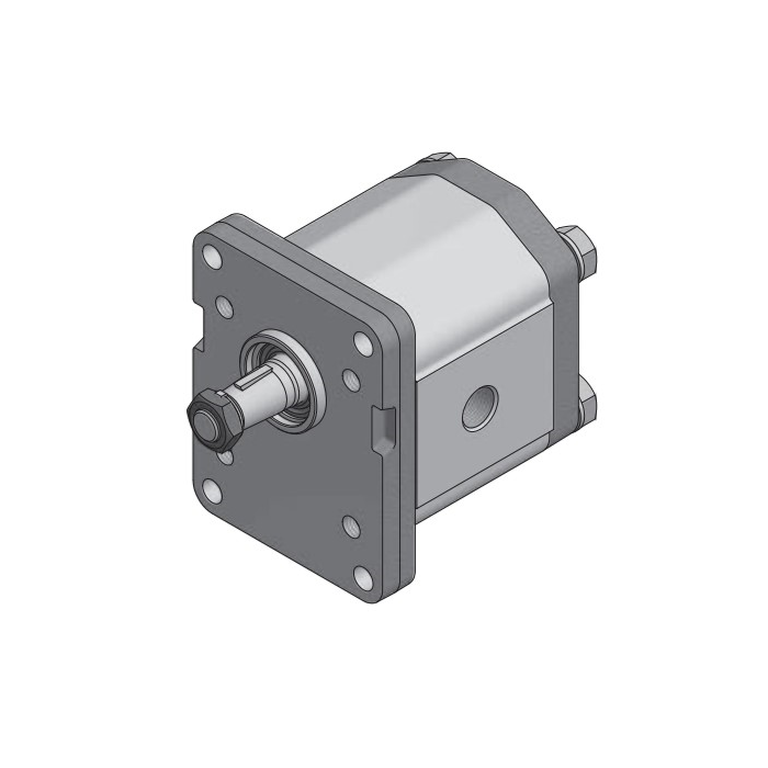 Bomba de Engranajes Giro DCH. 10,6 cm3 Eje Cilíndrico Roquet