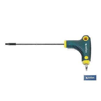 DESTORNILLADOR EN "T" DRIVER TORX 15X100
