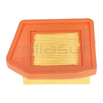 FILTRO AIRE DE PAPEL D546HXP (A4)