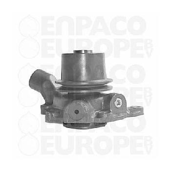 BOMBA AGUA CON POLEA David Brown REF. 101140001