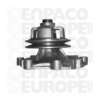 BOMBA AGUA Ford REF. 101290031