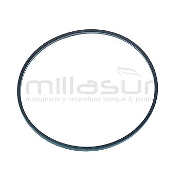 CORREA CC251T (10) - CC251TA (27) Z813Li - 813mm