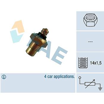 Termo-Resistencia FAE 30160