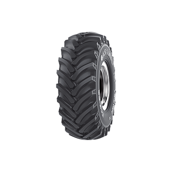 ASCENSO 24.5-32 TDB124 12L TL 159A6