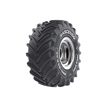 ASCENSO 650/75 R32 HRR200 TL 172A8 SB
