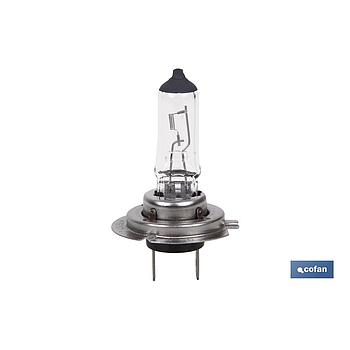 LÁMPARA HALÓGENA COFAN H7 (Px26d) 24V 70W
